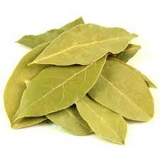 Fresh Bay Leaf
